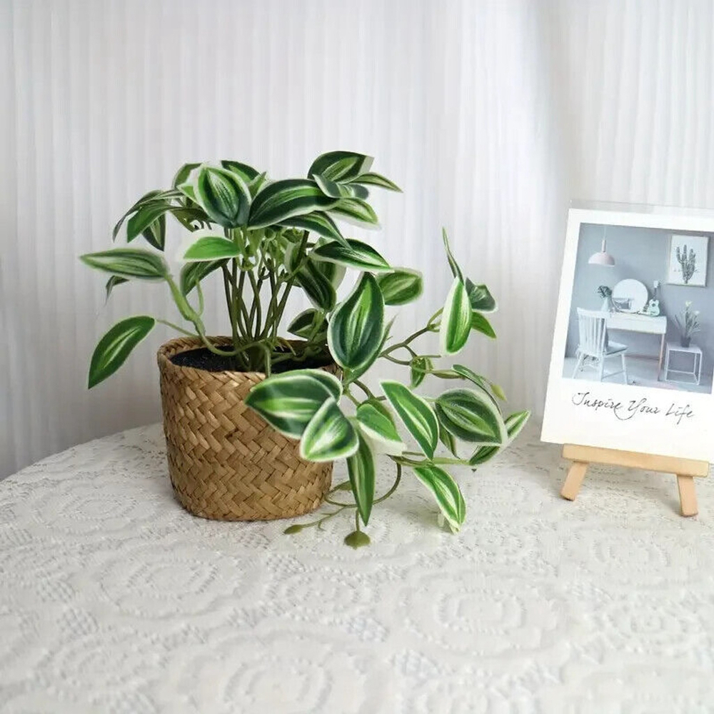 Artificial Trailing Peperomia in Woven Basket, Lifelike Greenery Décor